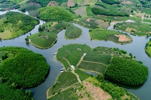 Green tea island in Thanh Chuong District, central Nghe An province 