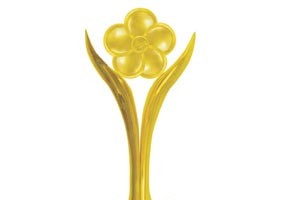 3rd Mai Vang Awards kicked off