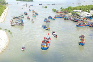 A procession of Ca Ong (Whale)on sea (Photo: Sggp)