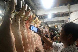 Officials checking pork information at Binh Tan slaughtering house (Photo: SGGP)