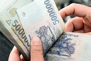 Businesses in HEPZA announce Tet bonus