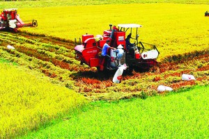 Mekong Delta  boosts agricultural mechanization to enhance productivity. (Photo: Sggp)