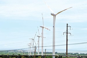 Soc Trang attracts clean energy investors