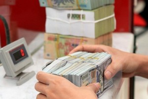 Vietnam received approximately 13.8 billion USD in 2017, showing a year-on-year rise of 16 percent  (Photo: VNA)