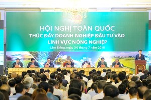 At the conference (Source: baochinhphu.vn)
