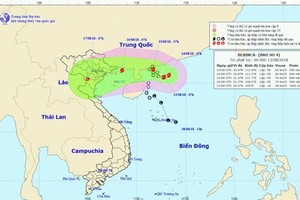 Storm Bebinca, the fourth of its kind hitting the country this year, will result in downpours in northern and north central regions from the night of August 15 to August 17. (Source: VNA)