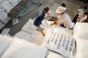 Rice bags for exports (Source: cafef.vn)