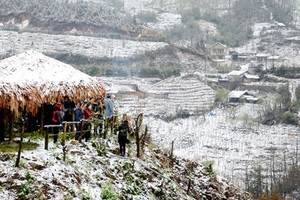 A view of Sa Pa (Source: Internet)