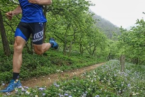 Vietnam Trail Marathon in Moc Chau to draw 1,900 runners