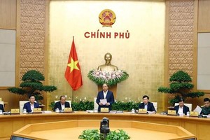 Prime Minister Nguyen Xuan Phuc (standing) speaks at the regular government meeting (Photo: VNA)