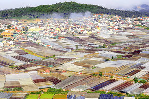 Greenhouses and net houses in Da Lat city