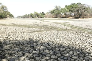 Drought occurs everywhere in the country because of climate change. (Photo: Sggp)