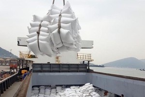 PM approves rice export resumption, orders guaranteed food security