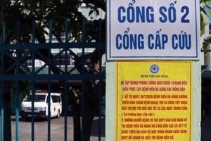 Illustrative image (Photo: VNA)