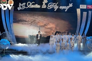 An art performance in the program (Photo: VOV)