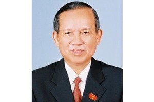Former Deputy Prime Minister Truong Vinh Trong (Photo: VNA)