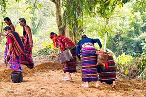 Quang Binh gets new national intangible cultural heritages