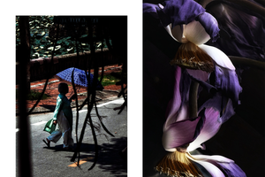 A photo by Nguyen Duc Hung is displayed in the exhibition.