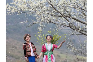 Beauty of women in Ha Giang Province’s plateau of rocks