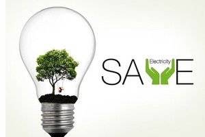 EVNHCMC’s youth launches energy-saving activities to respond Earth Hour 2021 