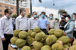 Vice Chairman of the HCMC People's Committee Ngo Minh Chau leads a delegation to inspect the epidemic prevention and control work at Hoc Mon Agricultural Wholesale Market. (Photo: SGGP)