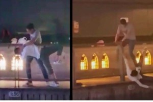 Images on the clip (Source: vietnamnet)