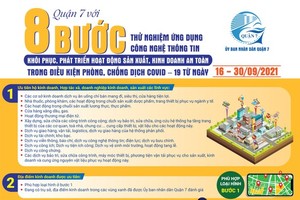 ​Steps of the pilot program using Information Technology (IT) app to manage businesses in District 7