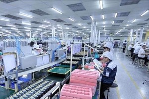 Illustrative image (Photo: VNA)