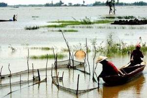 The late flooding season has affected the lives of local people in the Mekong Delta region. (Photo: SGGP)