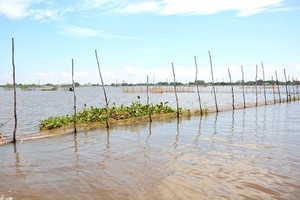 This year’s late flood and low water level have resulted in fish decline impacting on the local livelihoods.