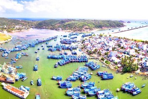 The fisheries infrastructure in Hoai Nhon town in Binh Dinh Province