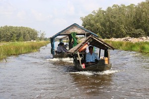 A waterway tour in Dong Thap