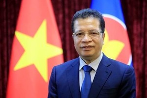 Vietnamese Ambassador to Russia Dang Minh Khoi (Photo: VNA)