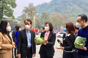 HCMC, eight northwestern provinces boost tourism cooperation