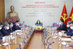 At the online talks between the two commissions (Photo: VNA)