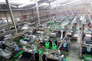 A package factory of the HAPLAST Joint Stock Company in northern Hung Yen province (Photo: VNA)