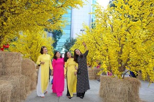 People enjoy a street of yellow apricot trees that are placed at the HCMC Youth’s Cultural House.