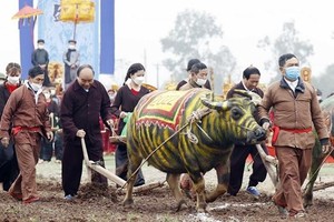 President Nguyen Xuan Phuc joins delegates and local people to perform a ritual of ploughing the field at the festival. (Photo: VNA)