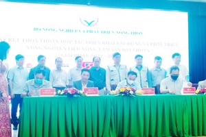 ​At the conference