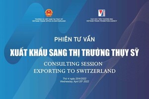 The consulting session is slated for April 20. (VNA)