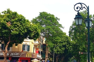 Hanoi Tourism Festival 2022 themed “Hanoi-Come to love '' will take place on May 13-15 at the Ly Thai To Park and Dinh Tien Hoang street.