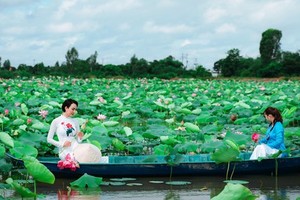 Dong Thap is famous for its lotus fields. 