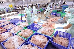 The exports of aquatic products are expected to fetch US$2.8-3 billion in the second quarter, a year-on-year increase of 36-38 percent, thanks to the strong growth of key products. (Photo: VNA)