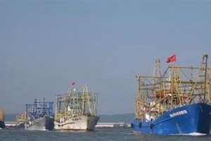 Illustrative image. (Photo: VNA)