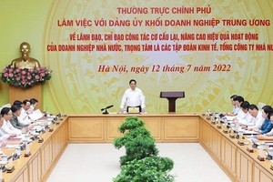 Prime Minister Pham Minh Chinh addresses the meeting. (Photo: VNA)