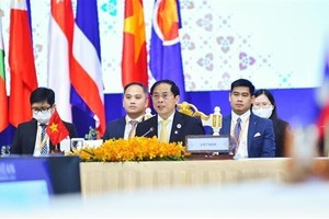 Vietnamese Foreign Minister Bui Thanh Son (C) at the ASEAN-RoK Foreign Ministers' Meeting. (Photo: VNA)