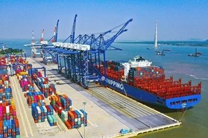 Illustrative image (Photo: VNA)