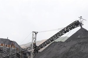 Illustrative image (Source: VNA)