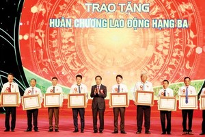 Head of the Central Economic Commission, Tran Tuan Anh (C) hands over Third Class Labor Medal s to ten outstanding farmers. (Photo: VNA)