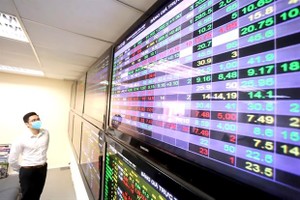An investor watches stock indices on an electrical board. (Photo: VNA)
